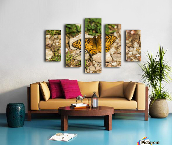 Canvas print