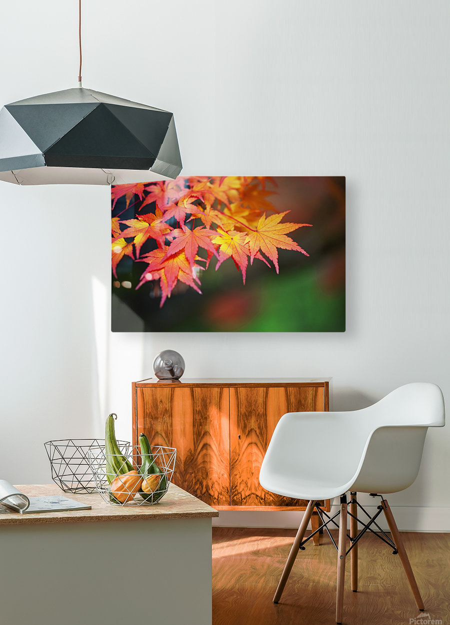 Portland Oregon United States Of America Leaves On A Tree In Autumn Pacificstock Canvas Artwork