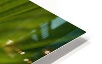 What Is That HD Metal print