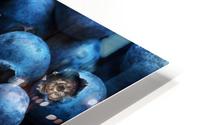 Blueberries Background Close-up HD Metal print