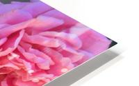 Pink HD Metal print