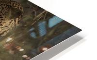 Ghosts of the Serengeti HD Metal print