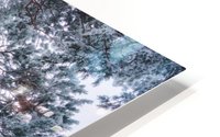 Winter tree lines HD Metal print