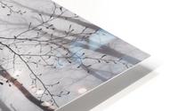 A view of the tree crown Impression metal HD