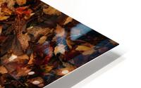 Feuilles mortes HD Metal print