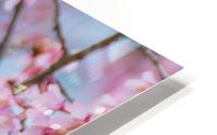 Bird In Sakura Cherry Blossom Tree HD Metal print