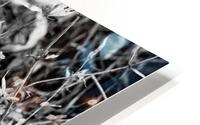Dry leaves HD Metal print
