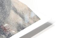 LA BEAUTE EST ICI HD Metal print