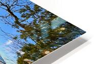PeshawbesTown 17 HD Metal print