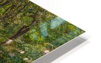 The Old Mill HD Metal print