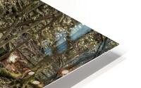 Lone expo creek bed  HD Metal print