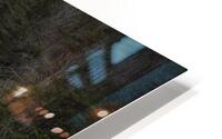 Lookout HD Metal print