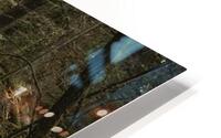 Rooted HD Metal print