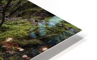 climb HD Metal print