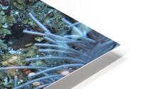 Tubular HD Metal print