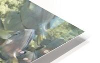 School HD Metal print