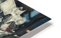 human bone vertebrae in a cardboard box  HD Metal print