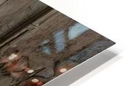 decaying and vandalised interior HD Metal print