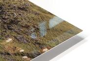 faroe island isolated buildings  HD Metal print