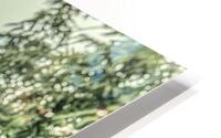 Eiffel Tower Through Trees HD Metal print