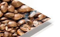 espresso and coffee grain HD Metal print