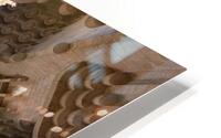 sagrada familia HD Metal print