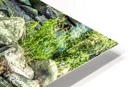 OAK CREEK RIVER ROCKS HD Metal print