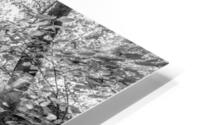 Rustic Tanyard Creek Waterfall Scene Grayscale HD Metal print