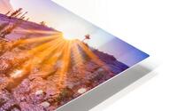 First Light Yosemite HD Metal print