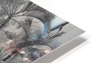 Hawaii Waikiki HD Metal print