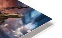 REVEALED HD Metal print