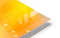 orange sticks HD Metal print