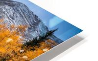 Larch Valley HD Metal print