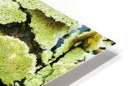 Matcha Lemon Bars HD Metal print