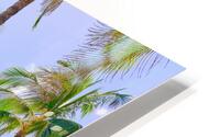 Hawaii Surf HD Metal print