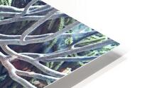 Branches HD Metal print