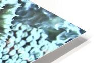 Protrudes HD Metal print