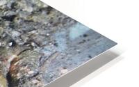 Better HD Metal print