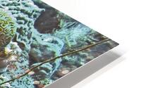 Plates HD Metal print