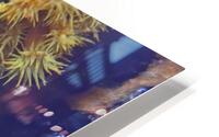 Expansive HD Metal print