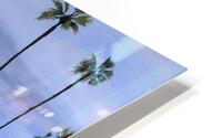 meditationgarden HD Metal print