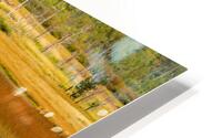 Waterton Lakess Geese  HD Metal print