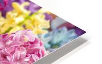 Floral Symphony HD Metal print