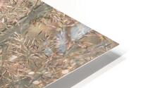 Fountain Grass HD Metal print
