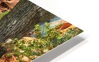 OAK CREEK CANYON ROADWAY HD Metal print