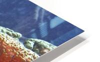 Backdrop HD Metal print