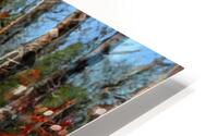 WINTER ROAD P HD Metal print