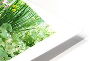 JE T OFFRE UN DIVIN LIT HD Metal print
