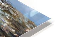 Seagulls and a Man HD Metal print