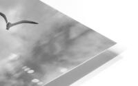 Fly Past - Seagulls Round Southwold Lighthouse Black and White HD Metal print